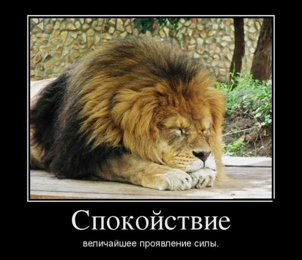 Спокойствие