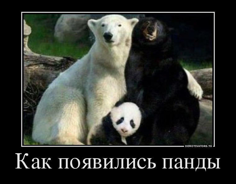 39864626 kak-poyavilis-pandyi