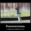 Взаимопомощь Взаимопомощь