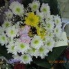 DSCN0981