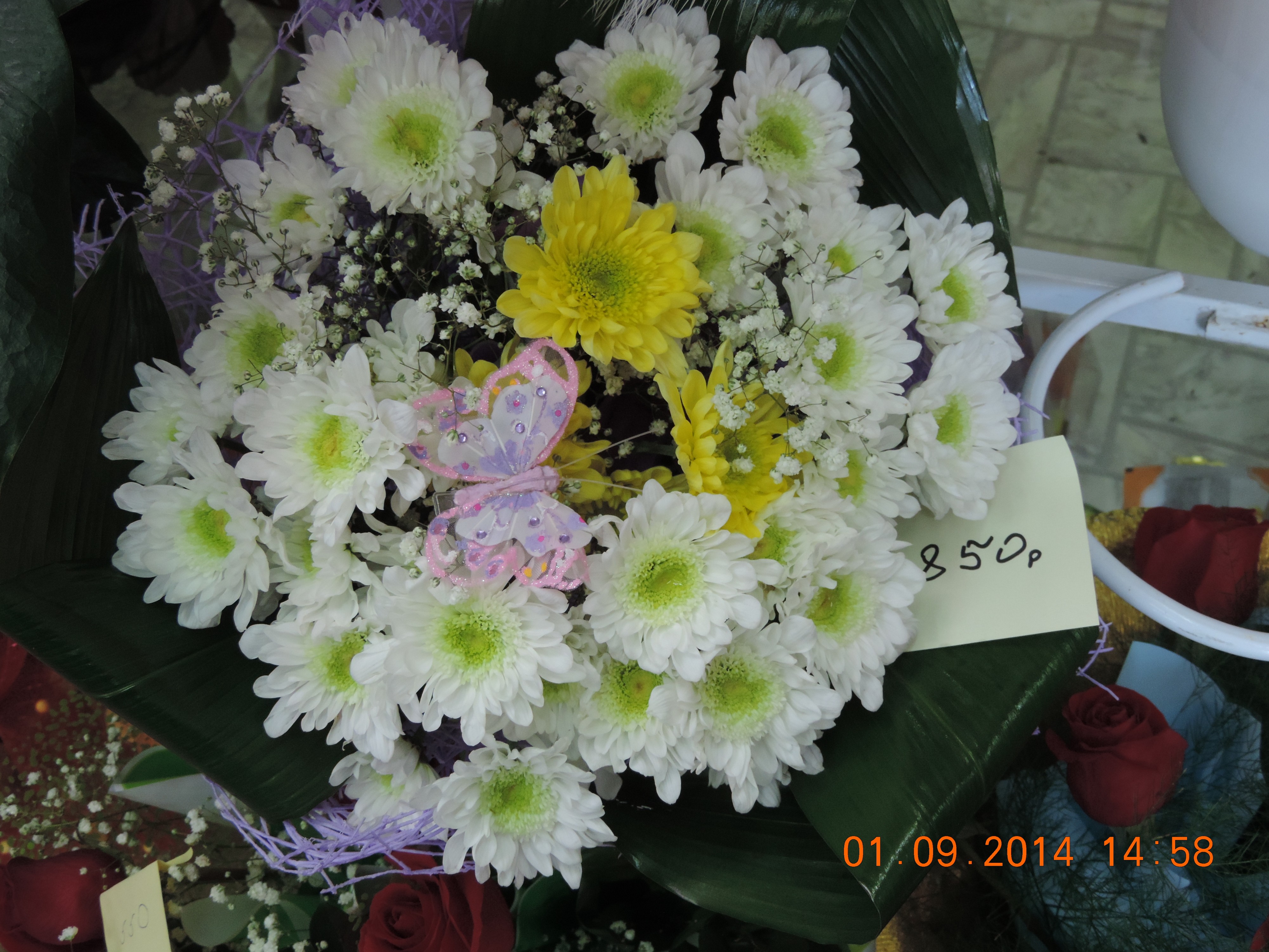 DSCN0981