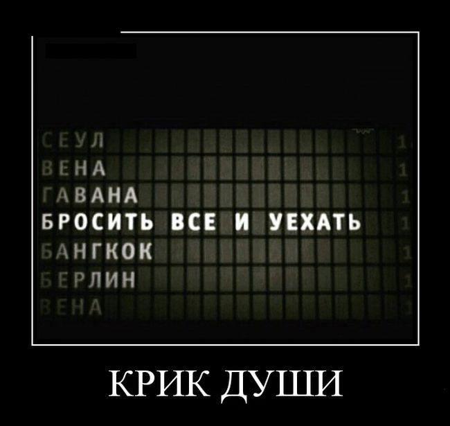 Крик души