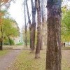 квартал А осень))))) квартал А осень)))))