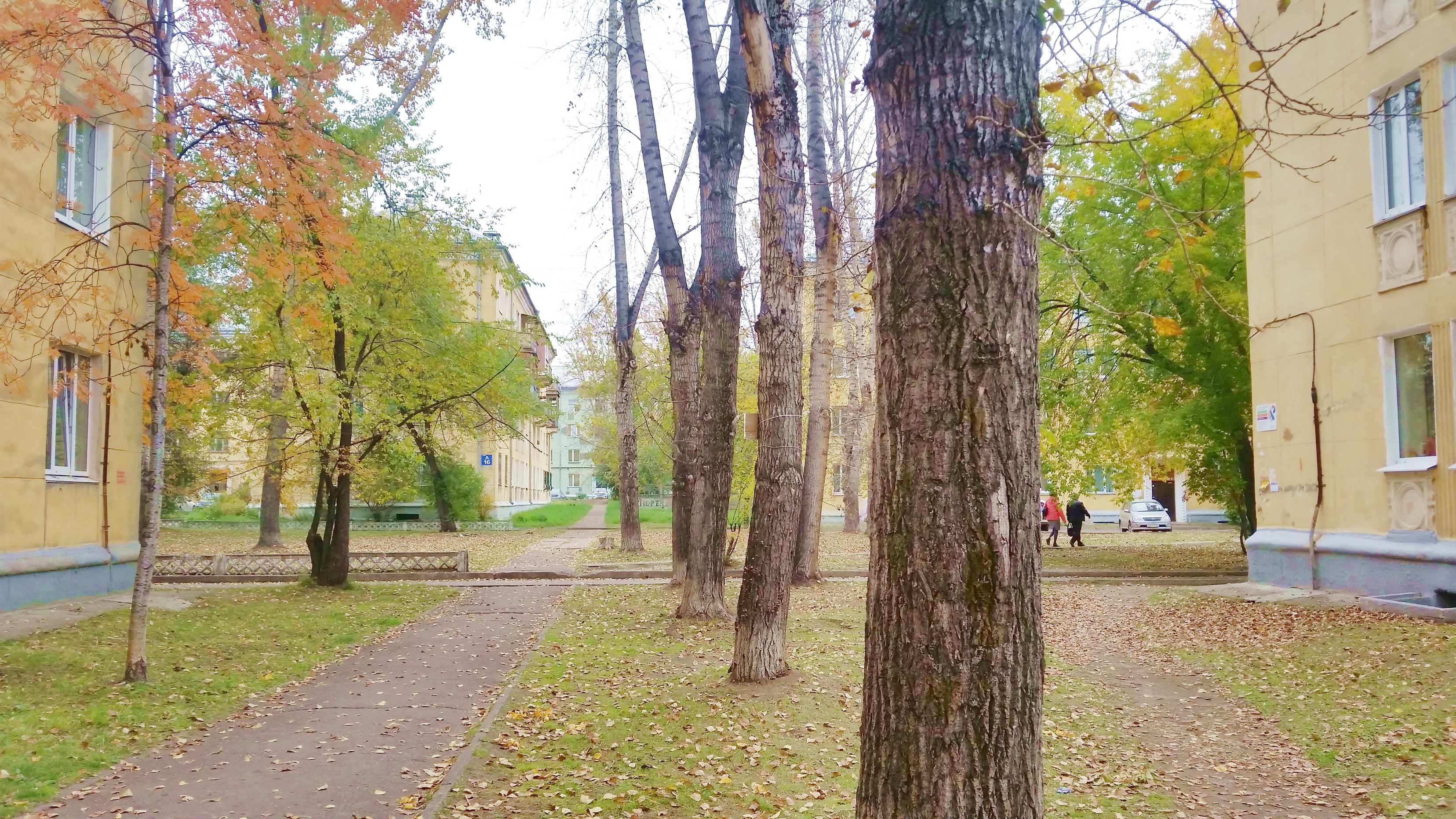 квартал А осень)))))