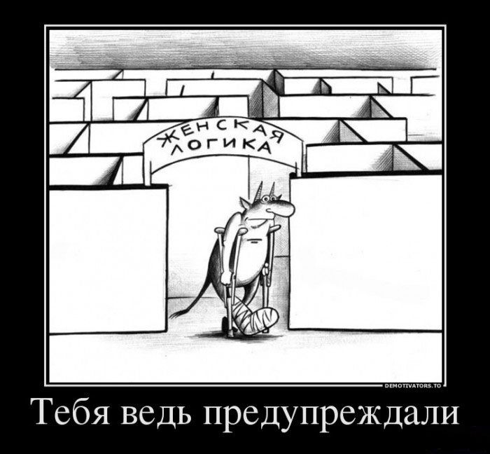 Женская логика