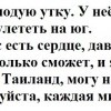 4e1ecbc5ea65ebc9e2239e272c3 4e1ecbc5ea65ebc9e2239e272c3