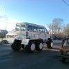 Тайгазель