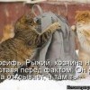 D21304dadf1506c9f8e260d42ce prev