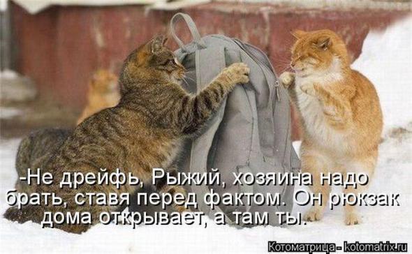D21304dadf1506c9f8e260d42ce prev
