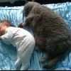 Котэ*