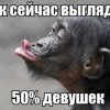Так сейчас выглядят Так сейчас выглядят