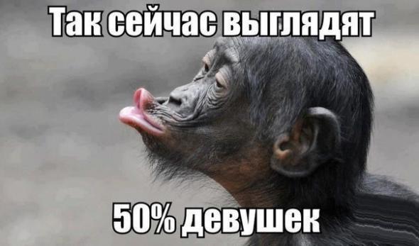 Так сейчас выглядят