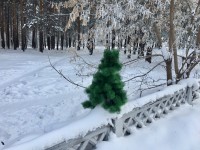 Вынес...: Вынеси ёлку, да вынеси ёлку...