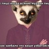эдо важе узбагойзя)))))