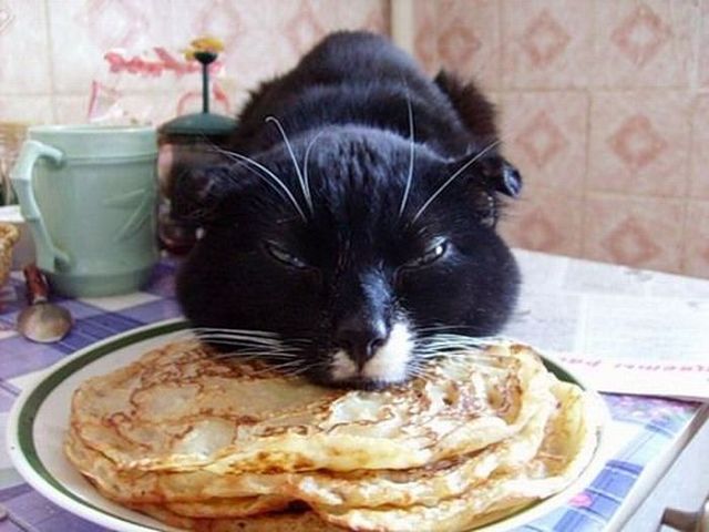 Морда)
