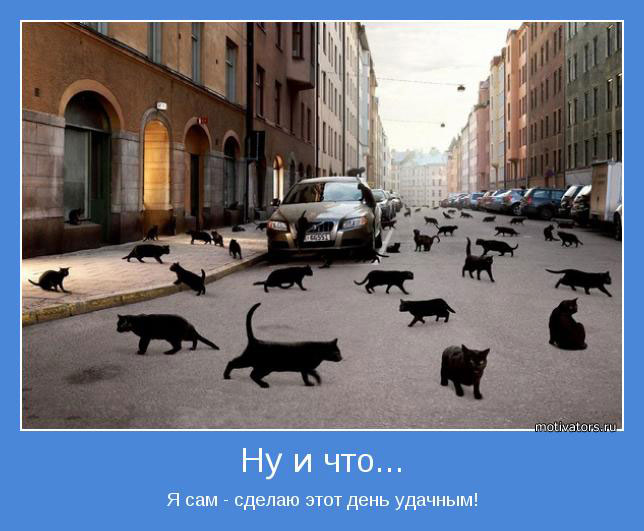 Удачный день!