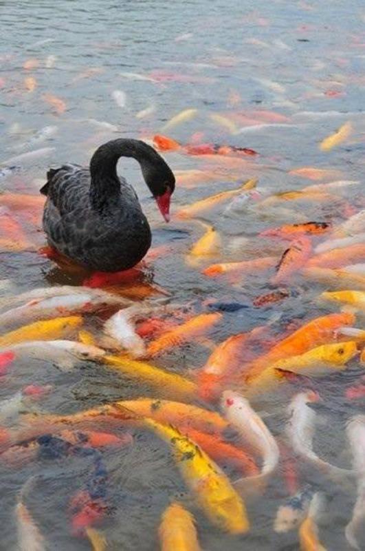 A703cd3f683129b6d7678ff475c prev