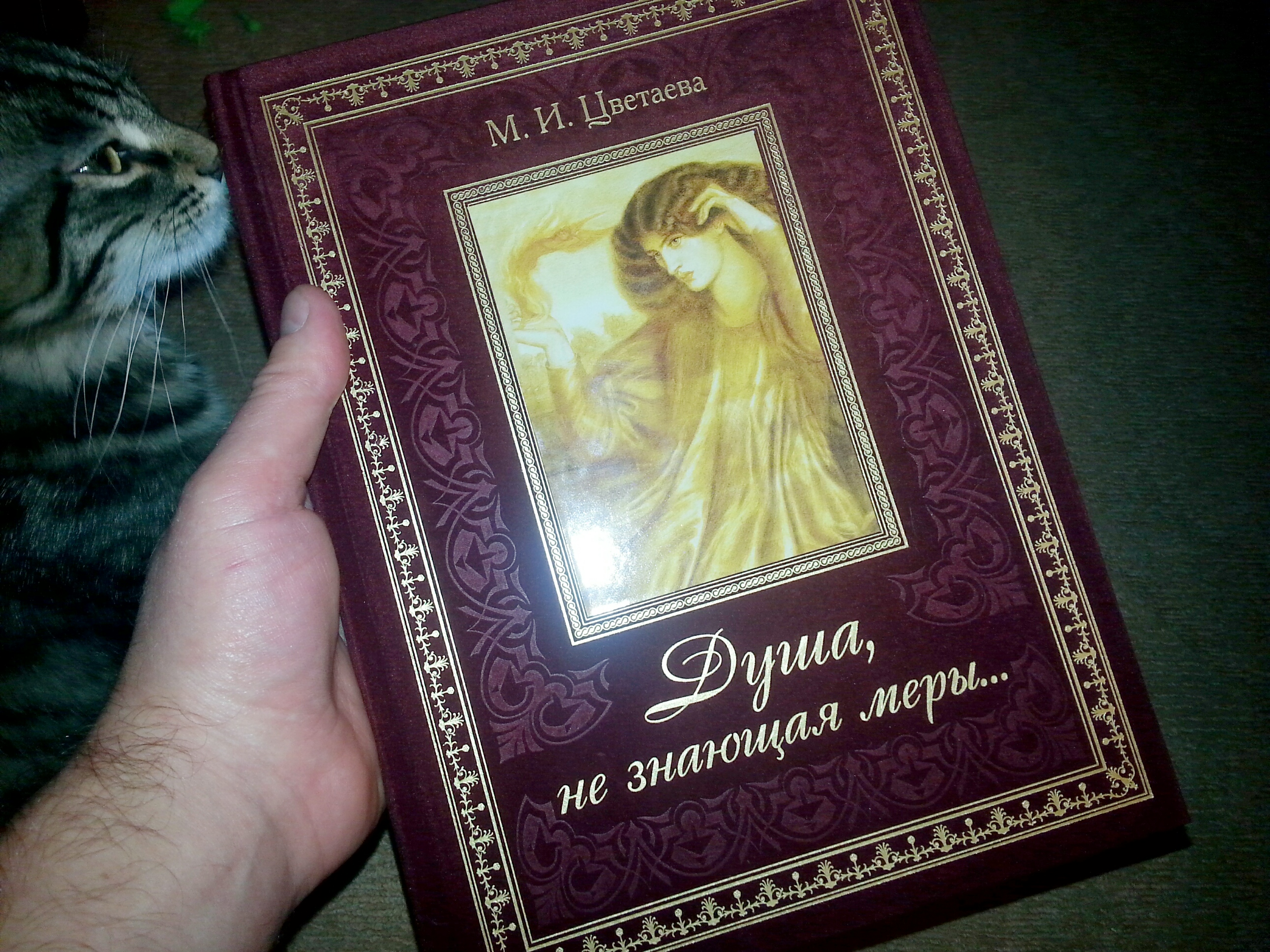 душа, не знающая меры .....