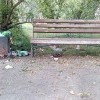Парк 10-летия Ангарска: урна у скамейки