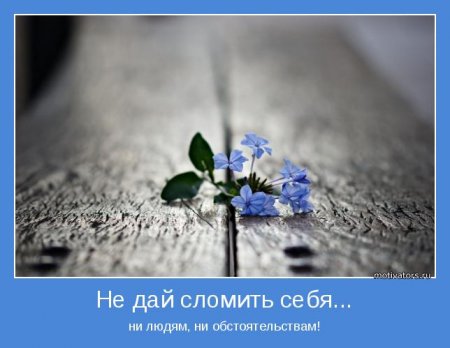 Не дай сломить себя