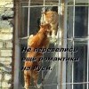 Не перевелись еще романтики