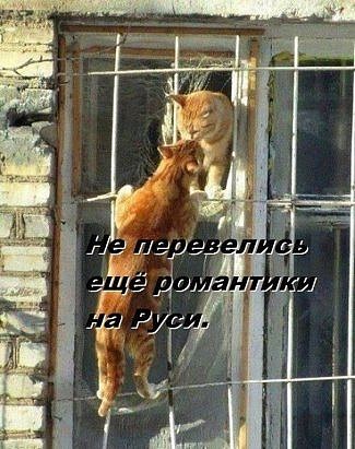 Не перевелись еще романтики