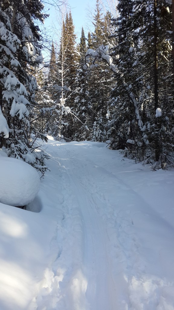Средство от бессонницы