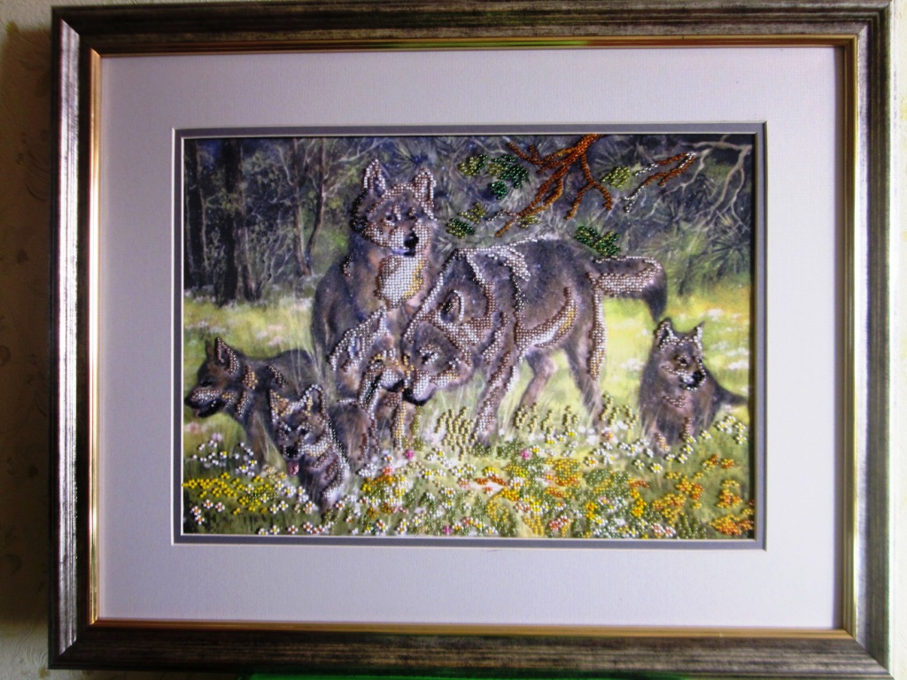 Дружная семья волков