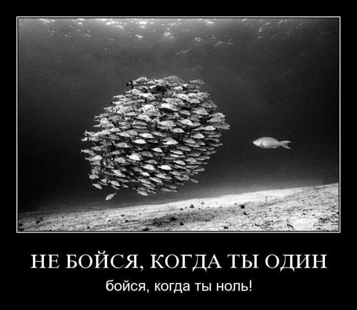 Не бойся