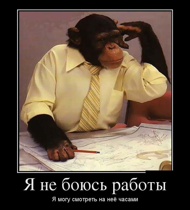 Я не боюсь работы