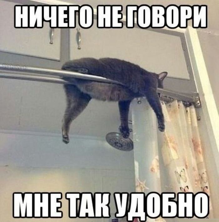 Ничего не говори