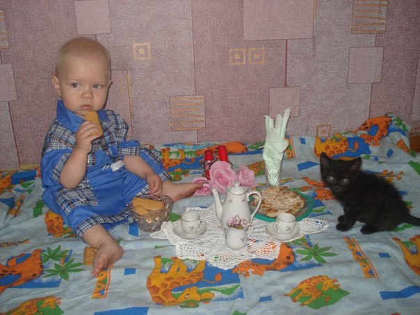 Нахлебник