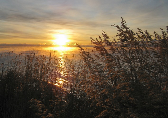 Baikal rasvet