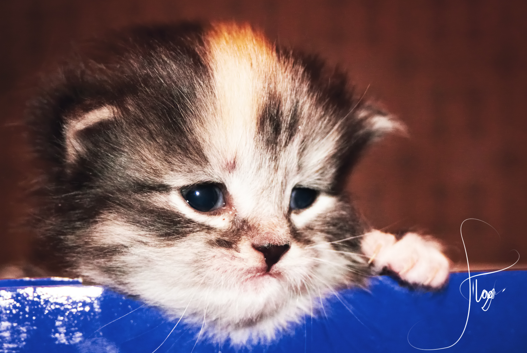 Продолжаем взрослеть