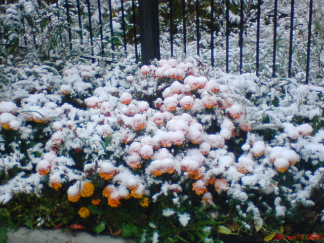 А это уже 26 сентября...