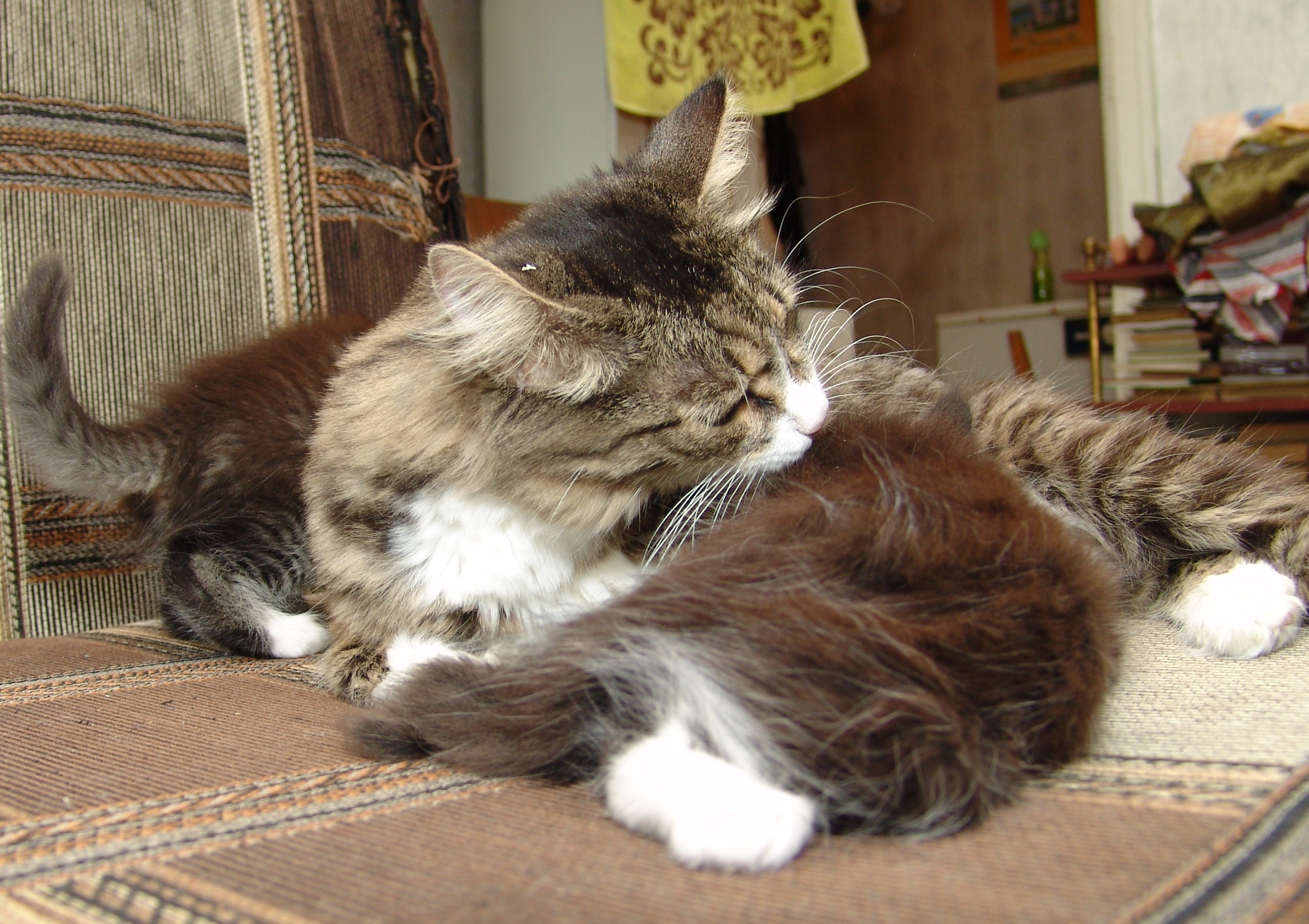 Обнимакаю-игры.