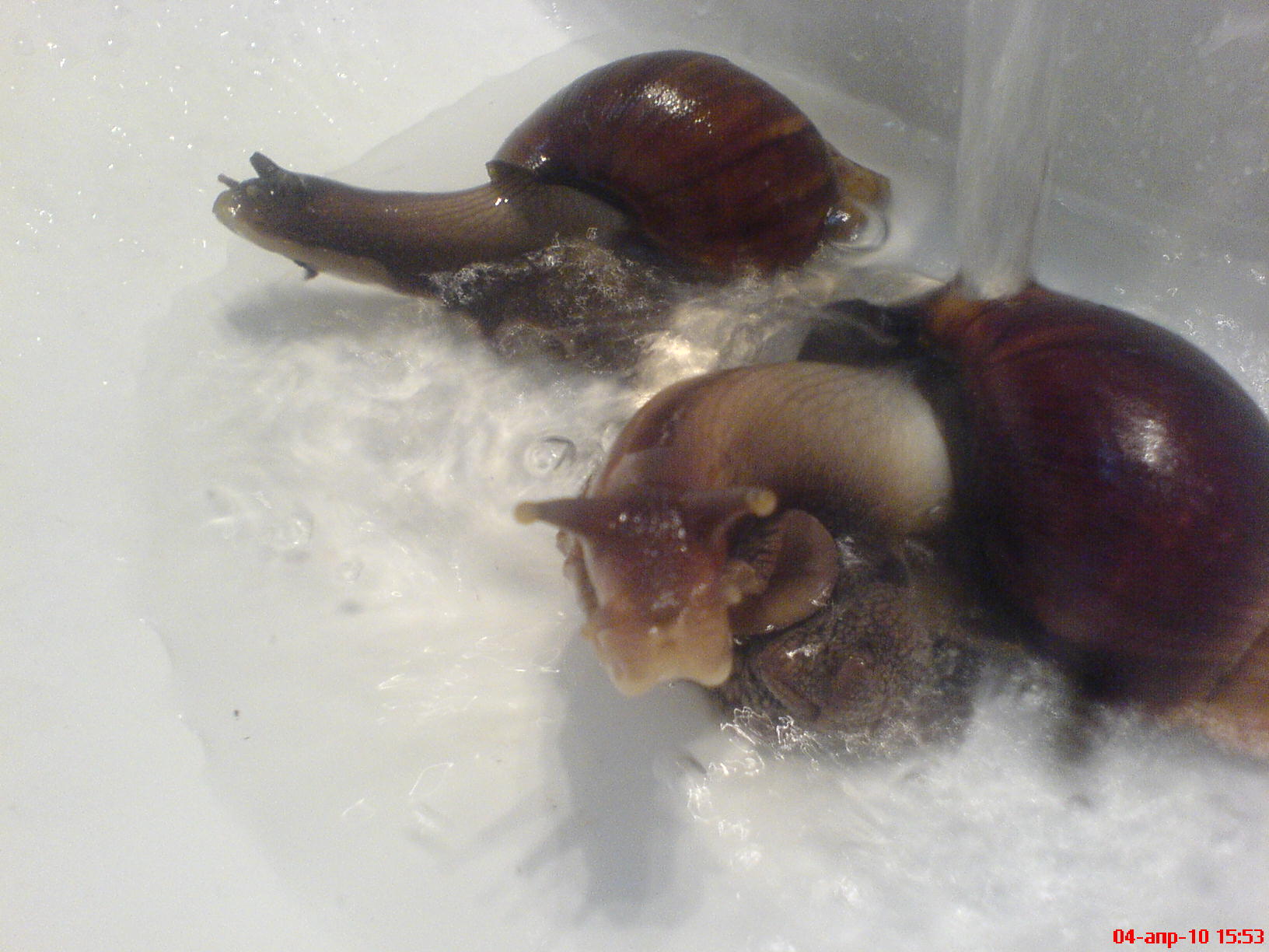 водные процедуры))