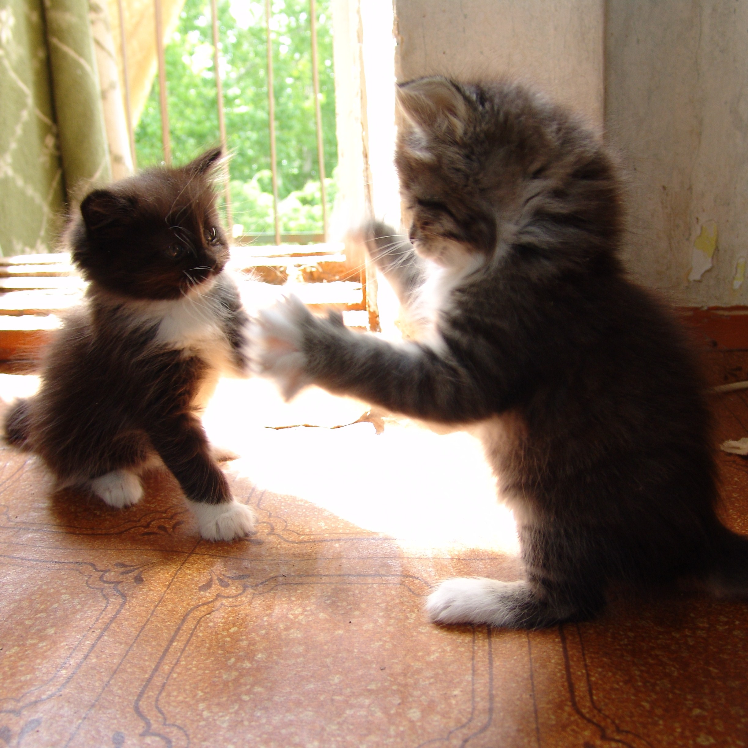 Давай играть!