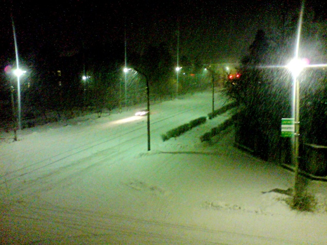 Ночь. Дубак.