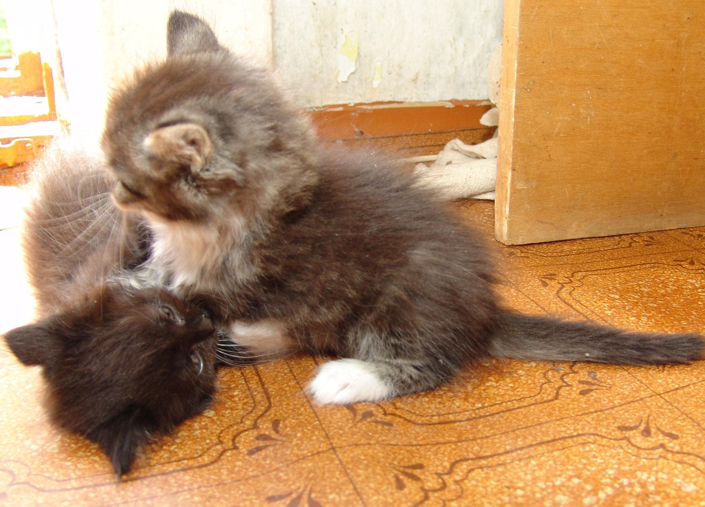 Повалянушки-поскаканушки.