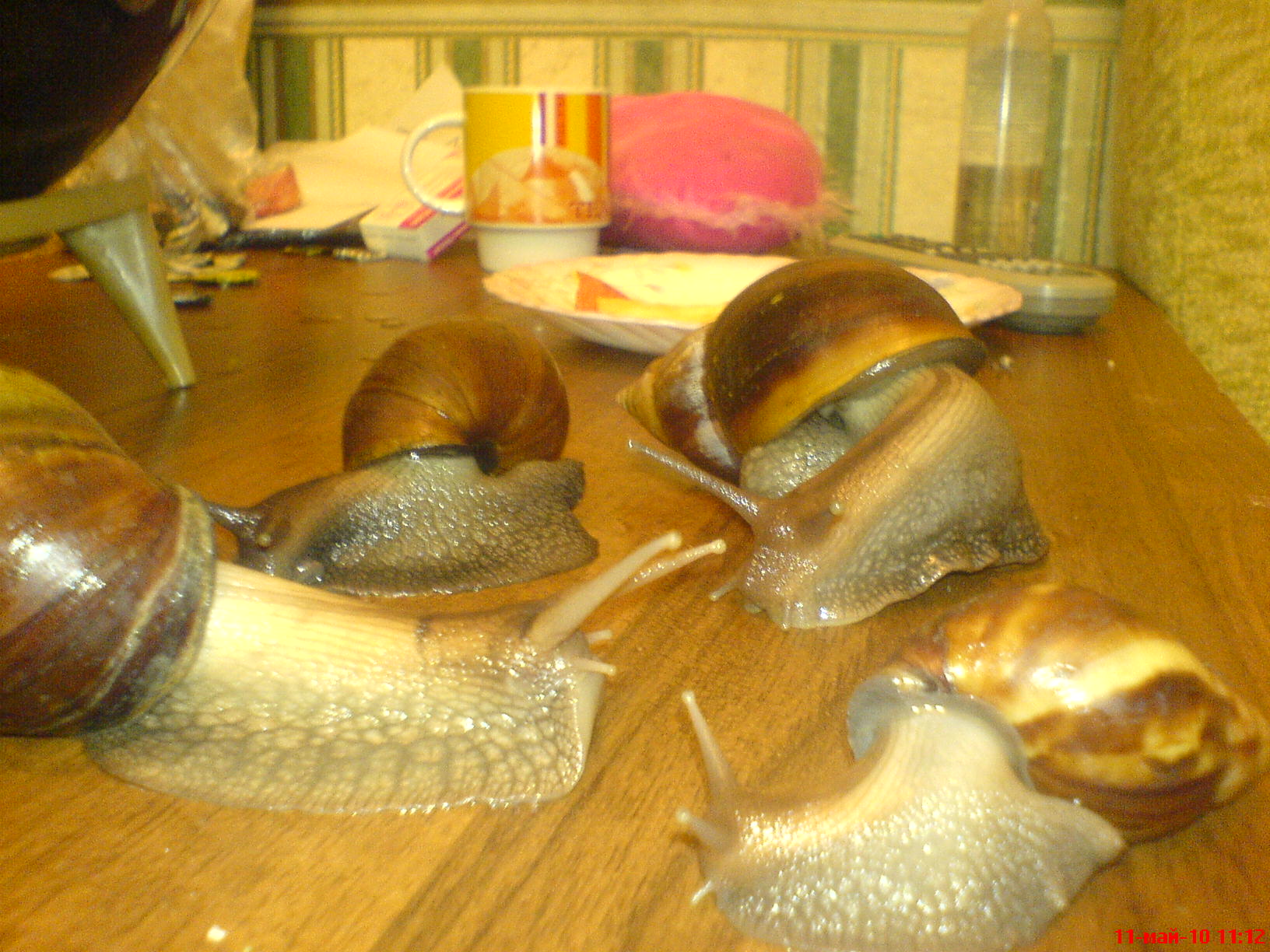 на прогулке