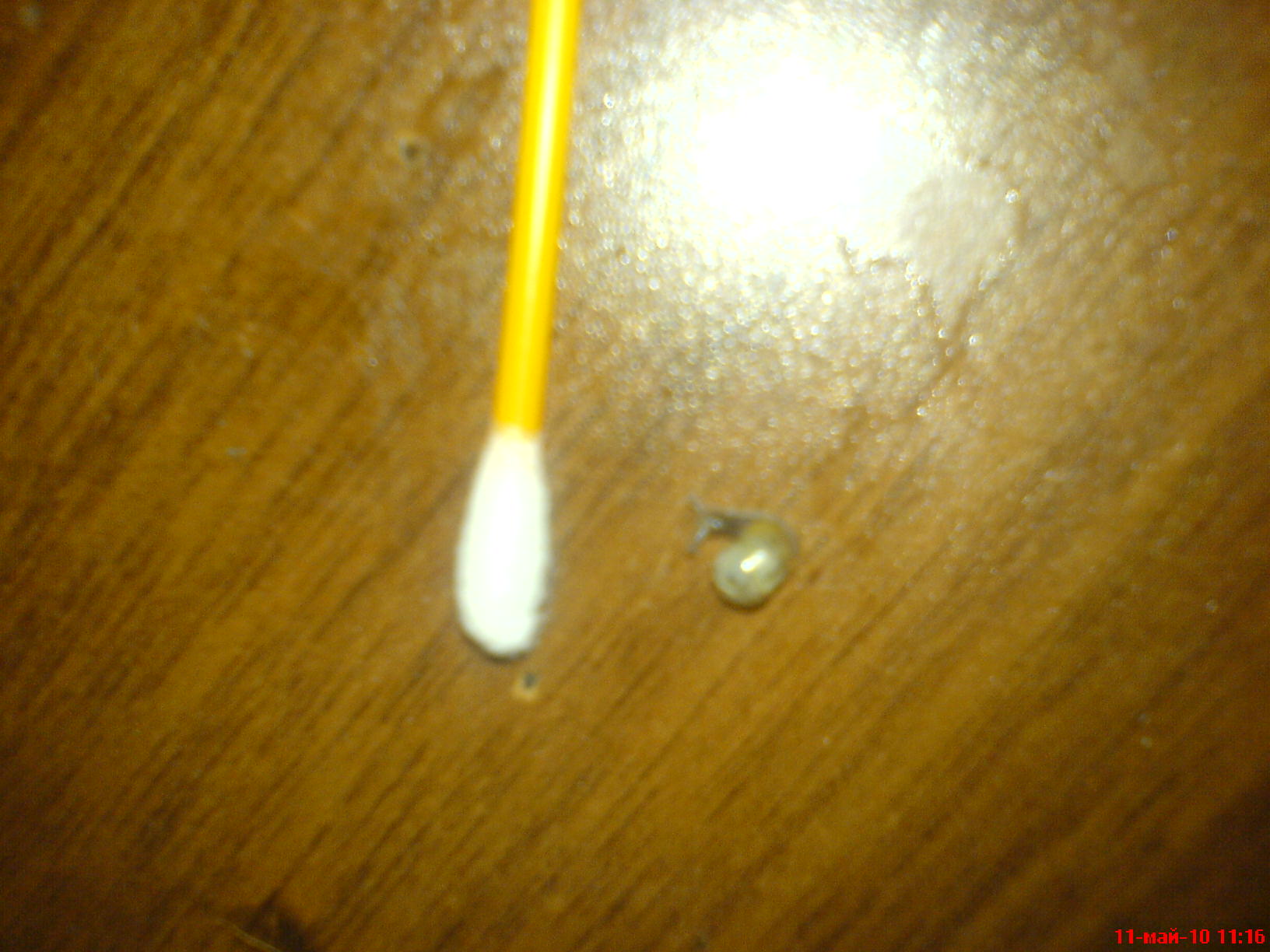 Вот такие маленькие они рождаются)))