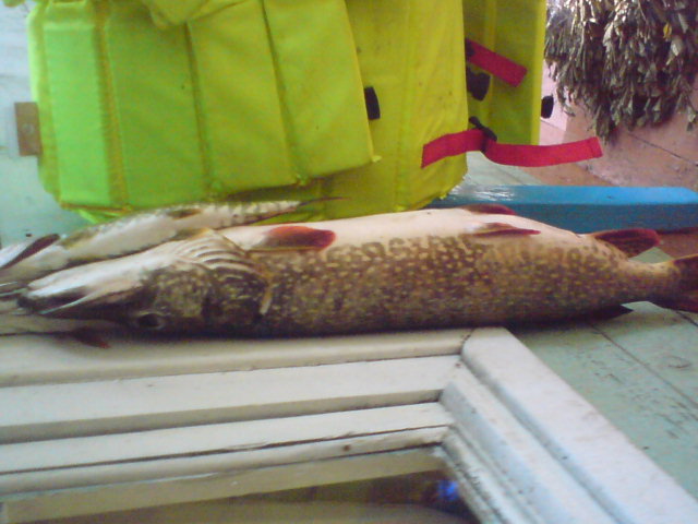 С базы отдыха "Хэ"