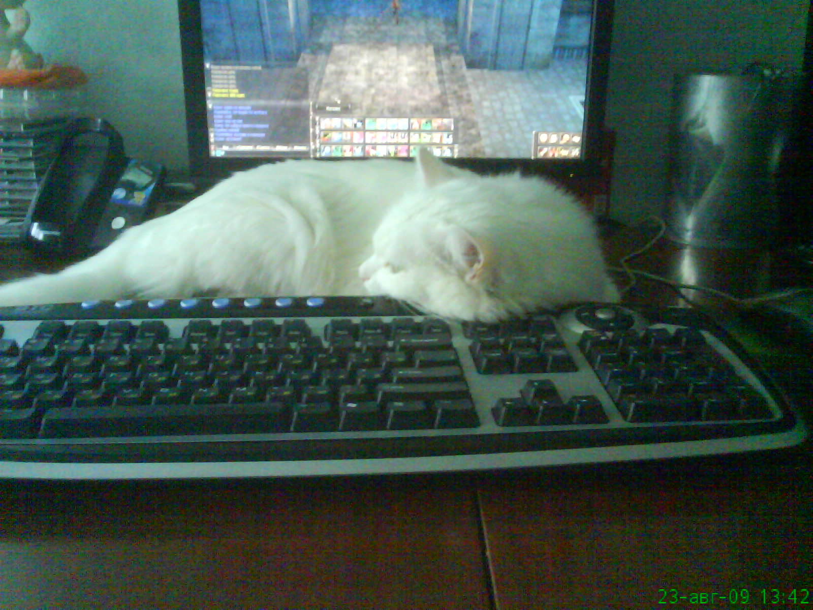 гамаем в линягу