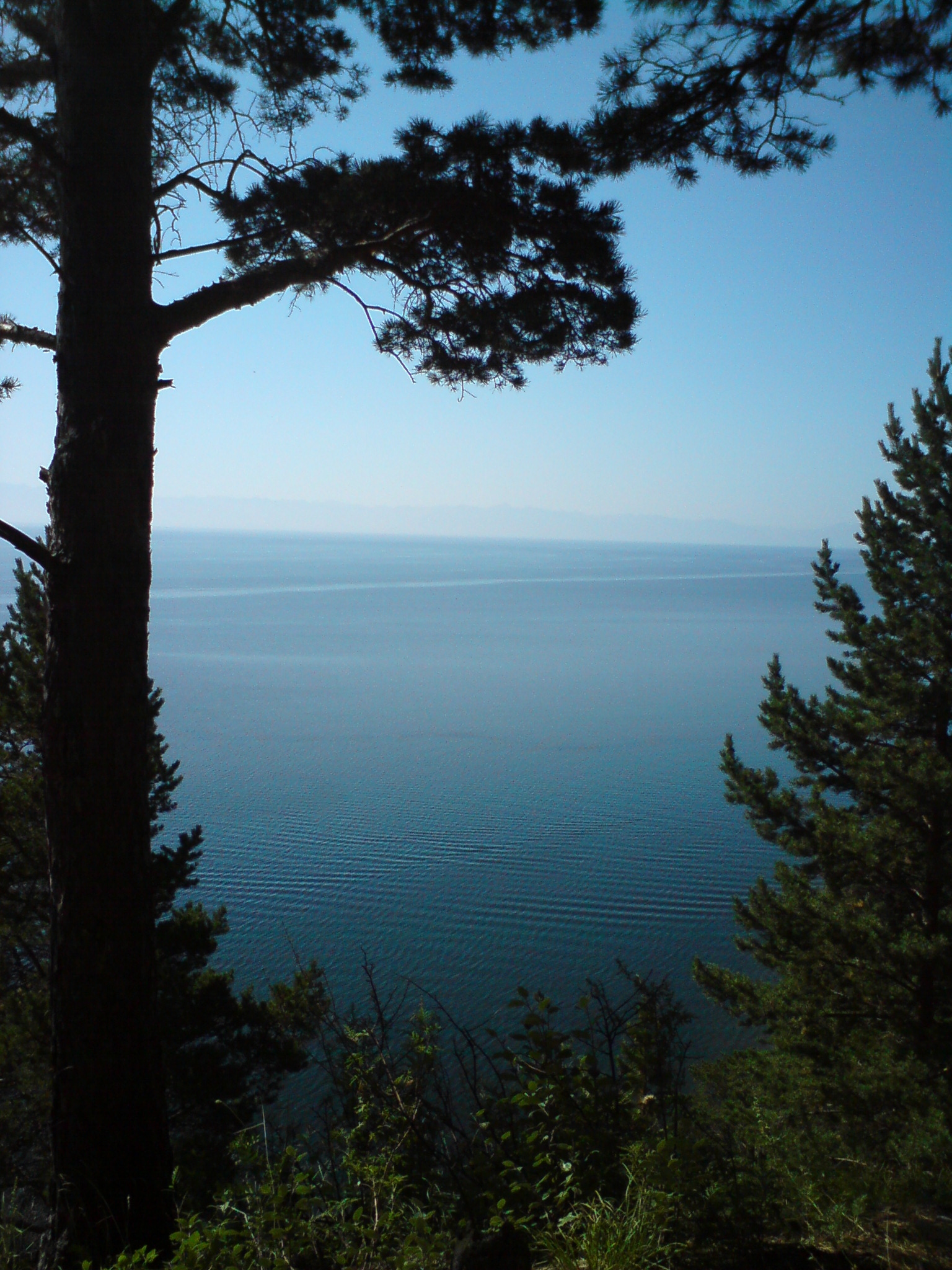 Где-то между Листвянкой и Б.Котами