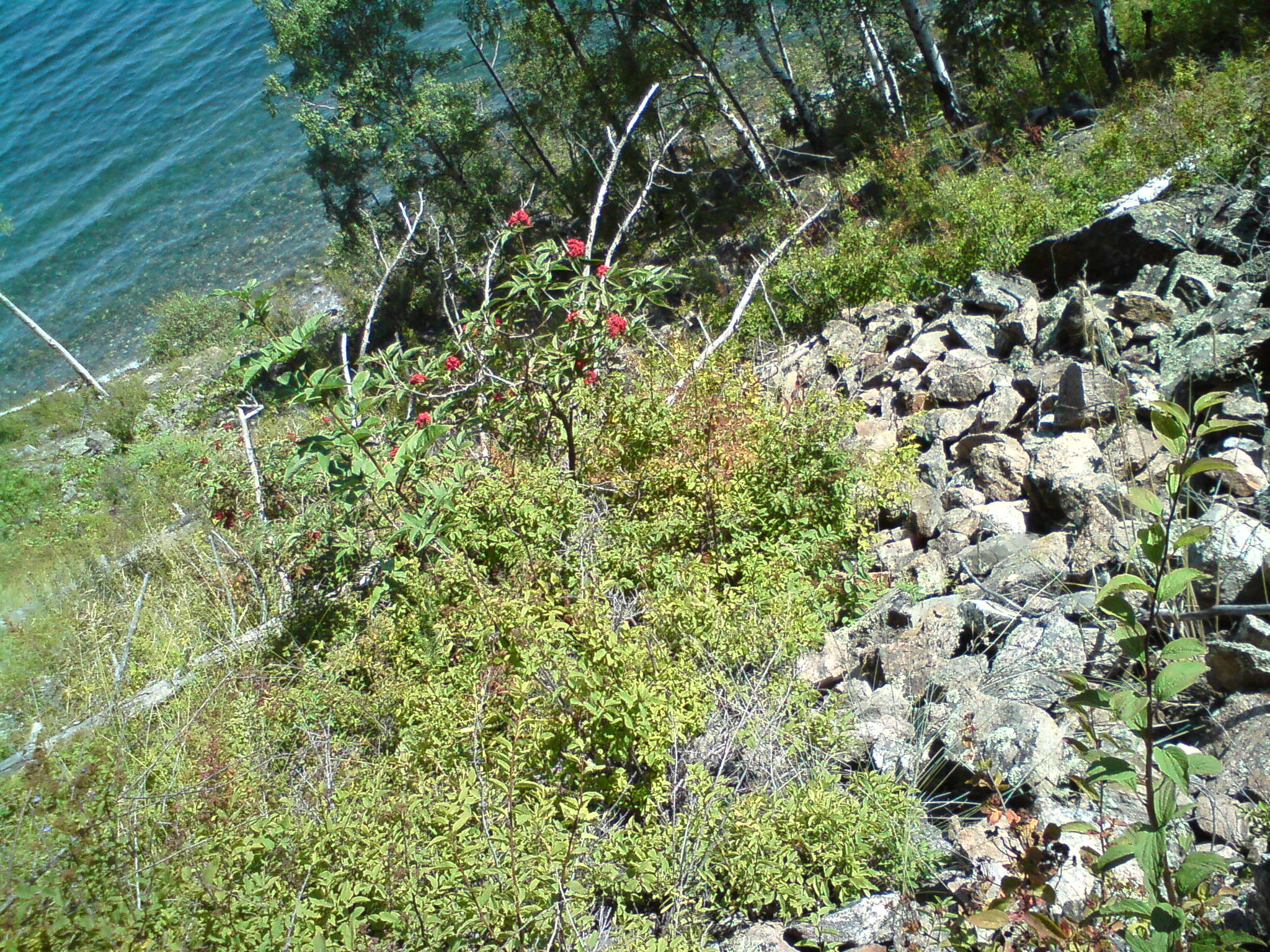 Где-то между Листвянкой и Б.Котами