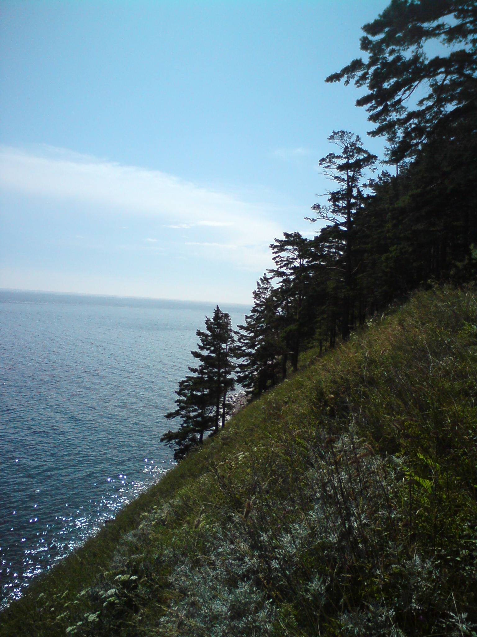 Где-то между Листвянкой и Б.Котами