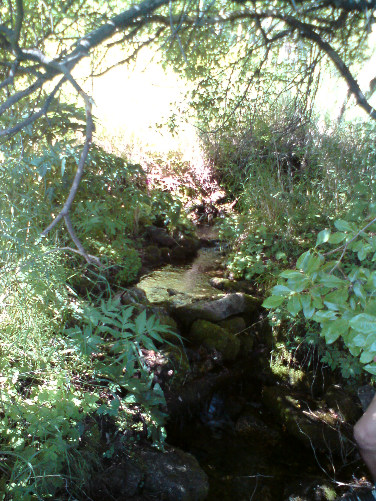 Где-то между Листвянкой и Б.Котами