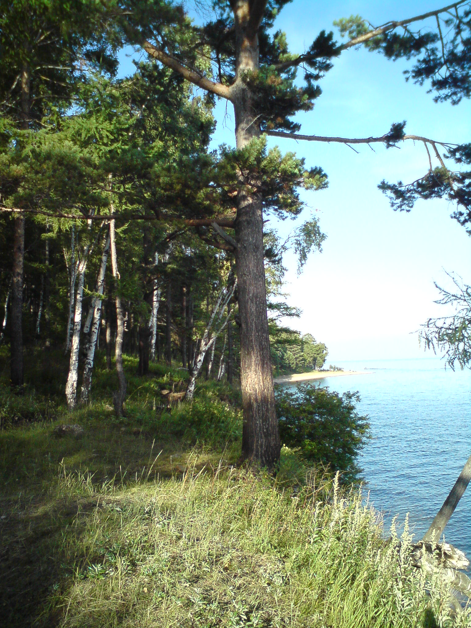 Где-то между Листвянкой и Б.Котами