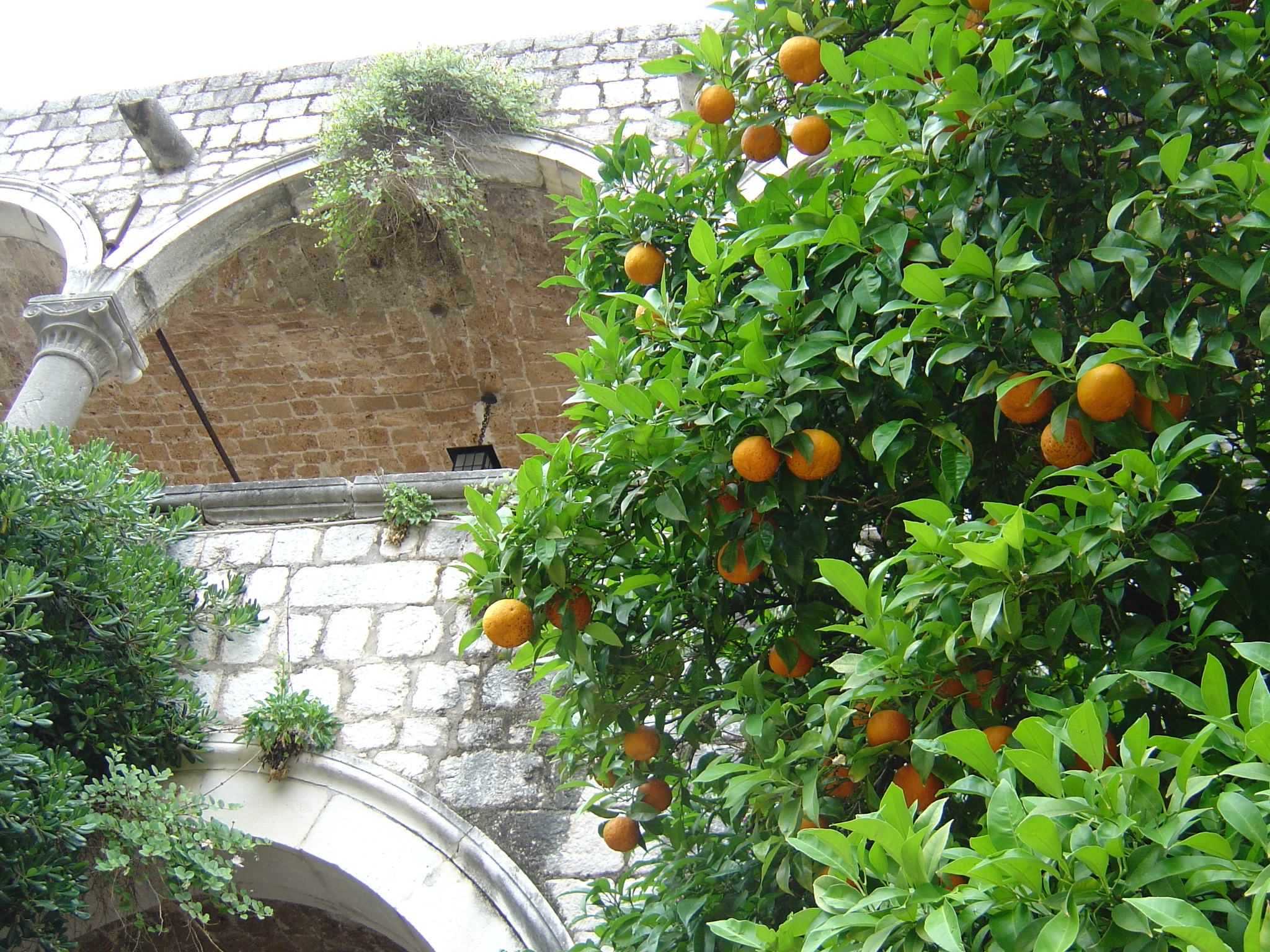 Черногория